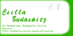 csilla budaspitz business card